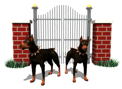 Dobermans guarding gate